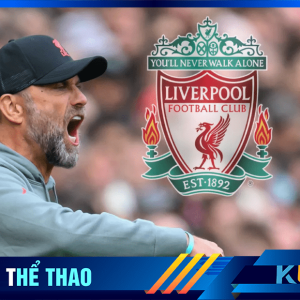 The Kop lọc máu , nâng cấp đội hình