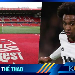 Willian nhiều khả năng sẽ là người của Nottingham Forest.