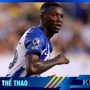 Caicedo công khai muốn ra đi trước ban lãnh đạo Brighton cách đây ít hôm